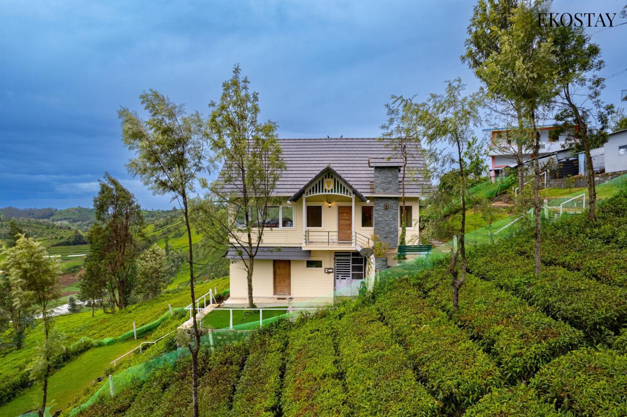 Eko - Woodside Ivy * Ooty