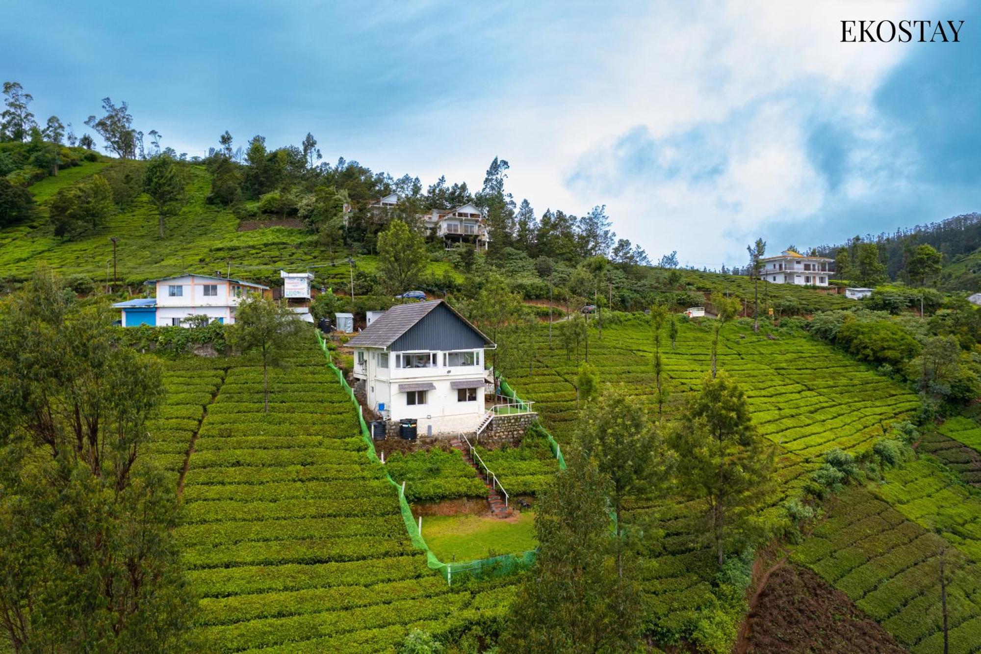 Eko - Woodside Ivy Villa Ooty