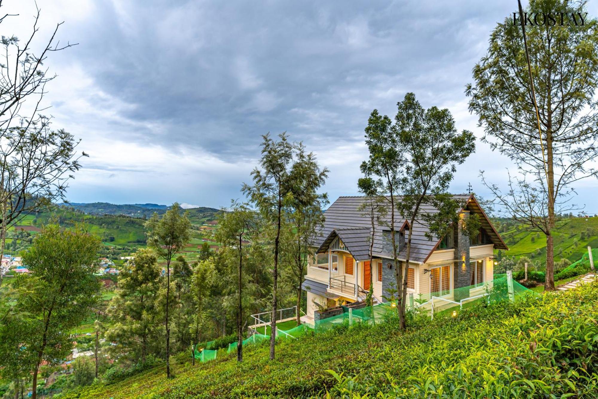 Eko - Woodside Ivy * Ooty